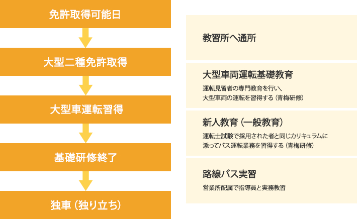 大型二種免許取得~運転士になるまで